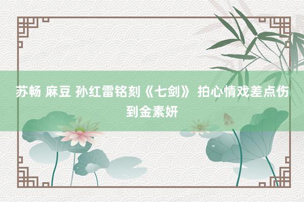 苏畅 麻豆 孙红雷铭刻《七剑》 拍心情戏差点伤到金素妍