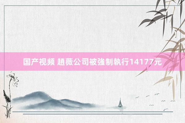 国产视频 趙薇公司被強制執行14177元