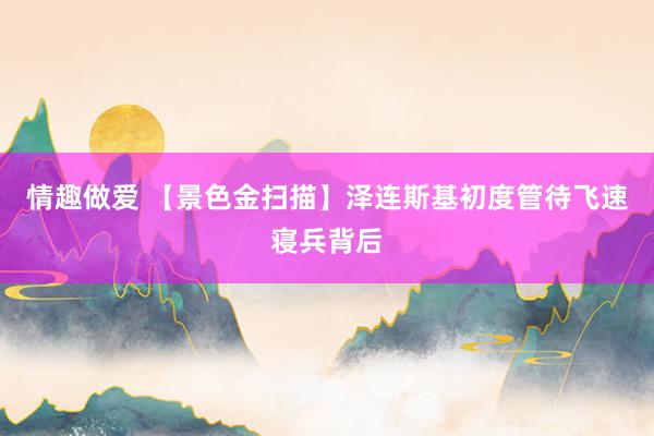 情趣做爱 【景色金扫描】泽连斯基初度管待飞速寝兵背后