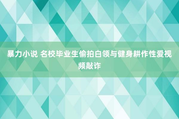 暴力小说 名校毕业生偷拍白领与健身耕作性爱视频敲诈